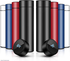 Insulated Temperature Water Bottle